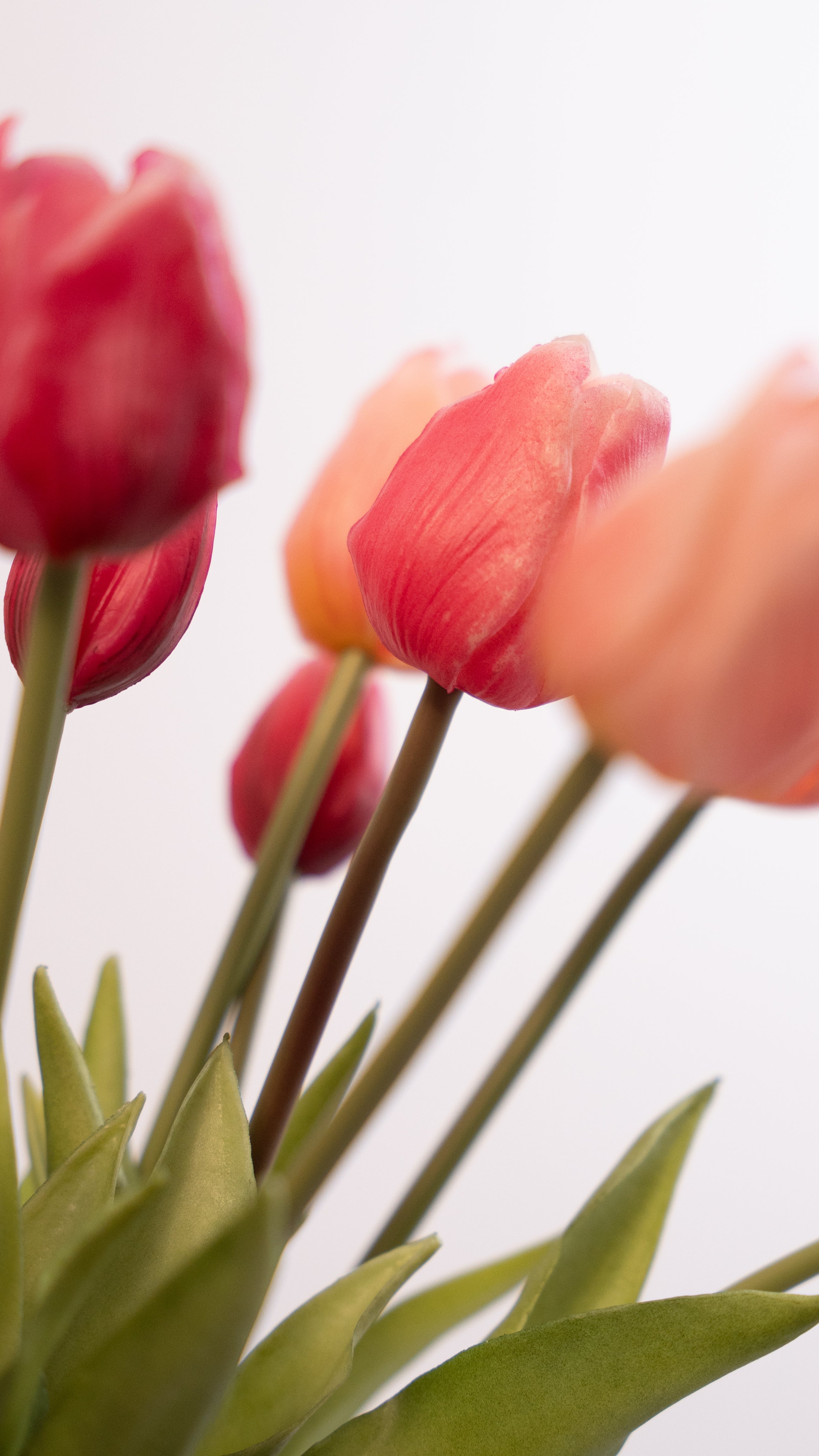 Lovin lovin (inclusief vaas!)