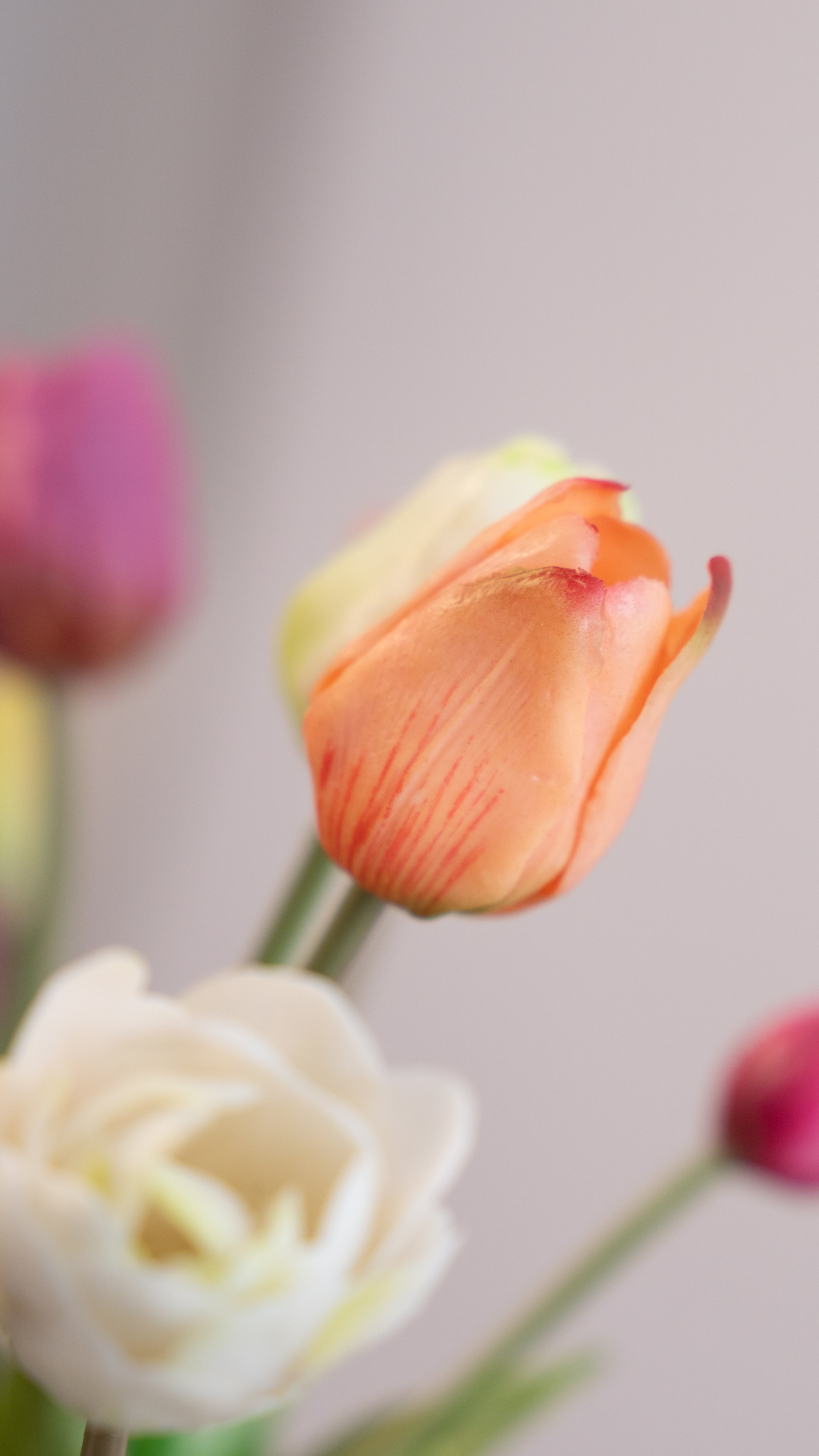 Sunshine (inclusief vaas!)