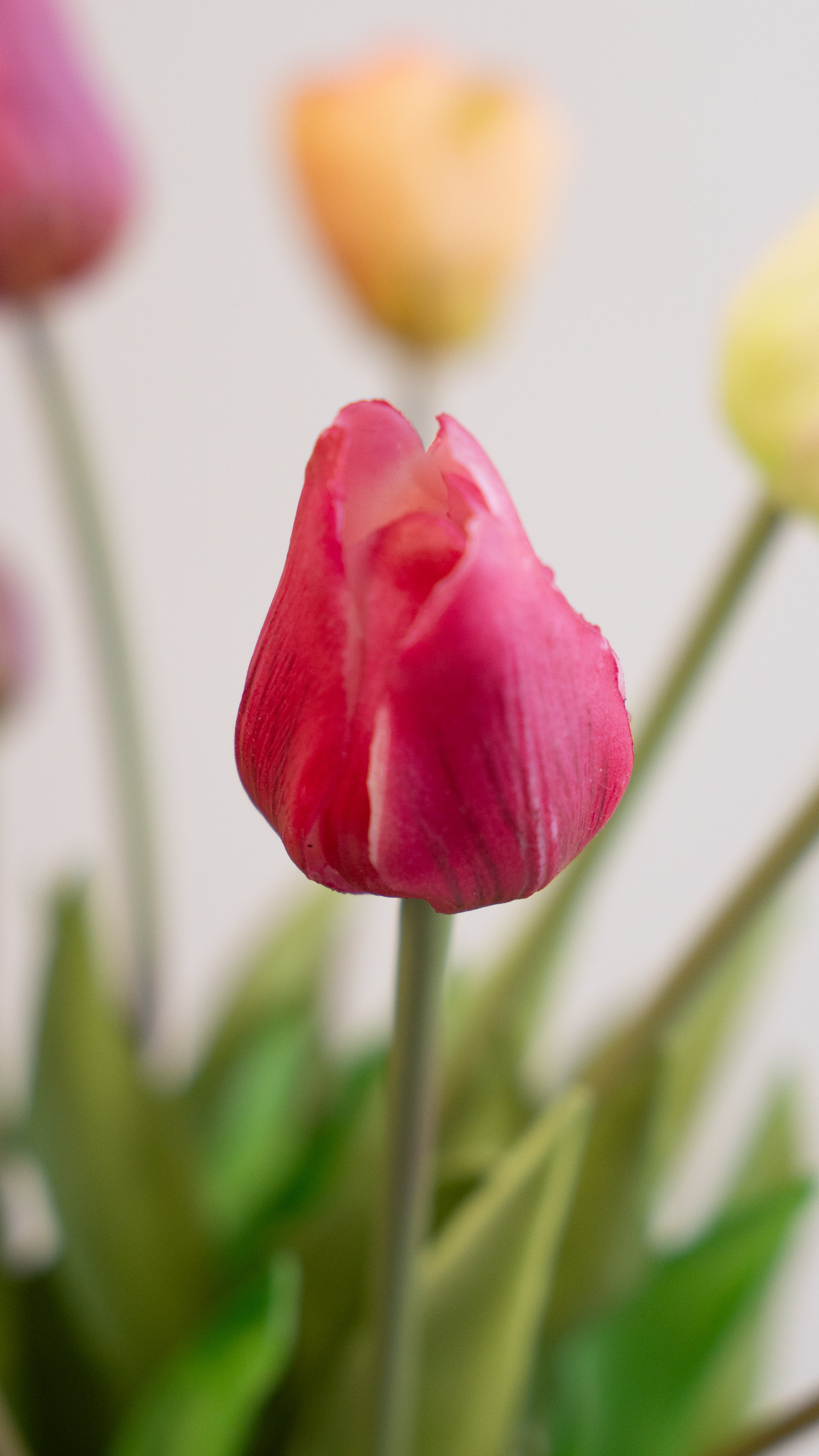 Sunshine (inclusief vaas!)