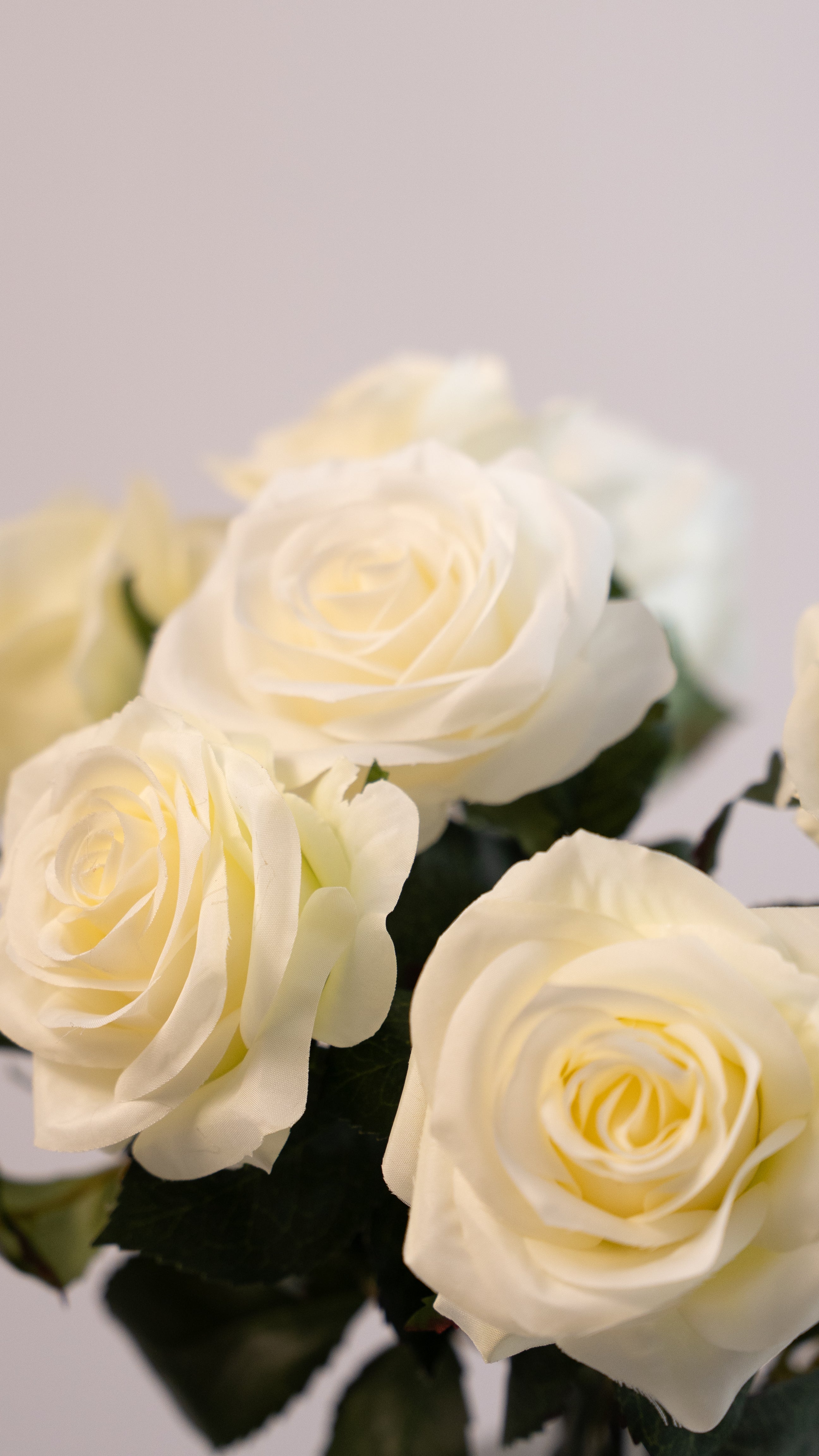 Because of you (5 rozen)