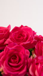 One and only (6 rozen)