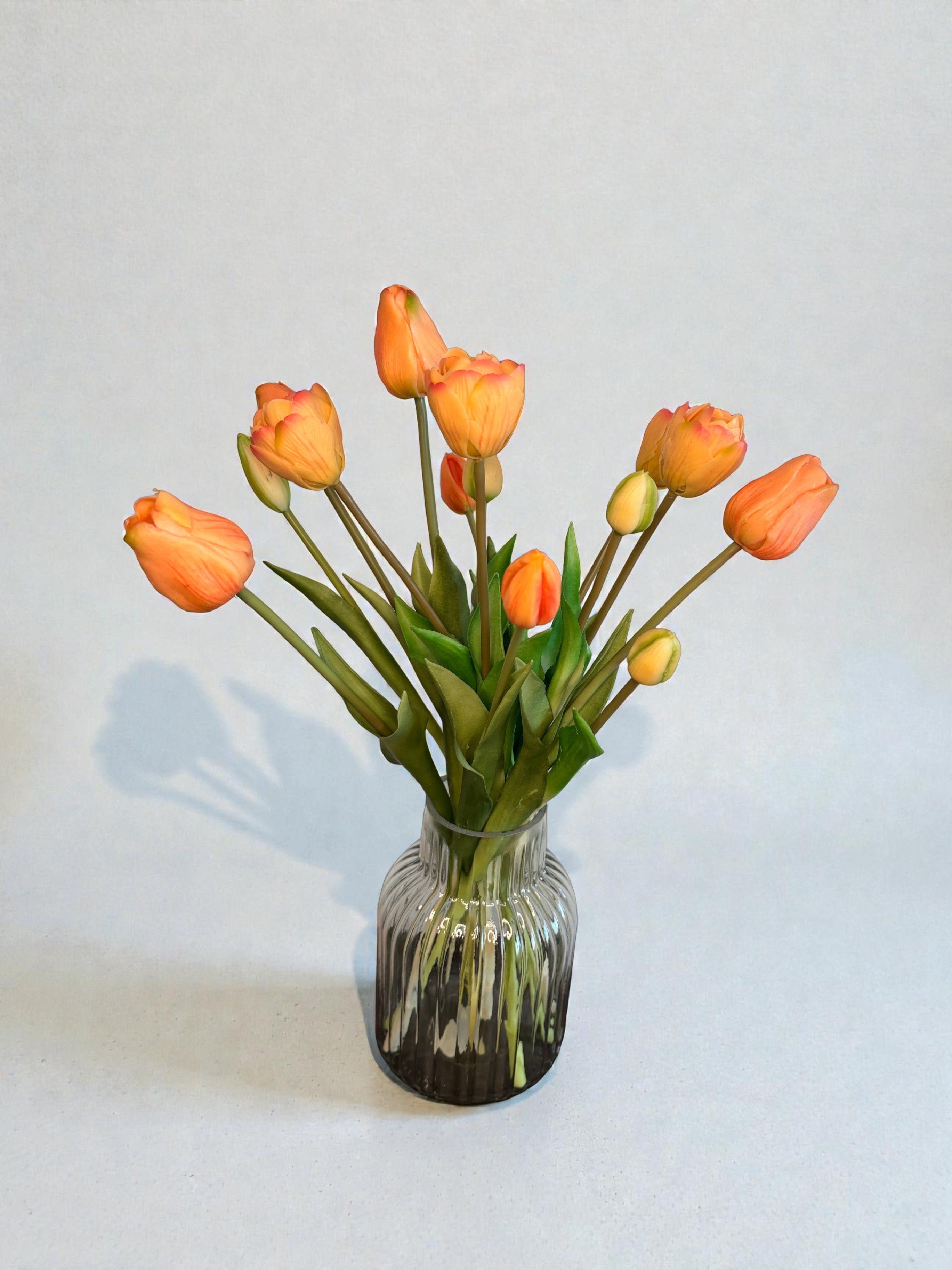 Tulpen uit Amsterdam - Peach