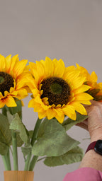 Pocketful of sunshine