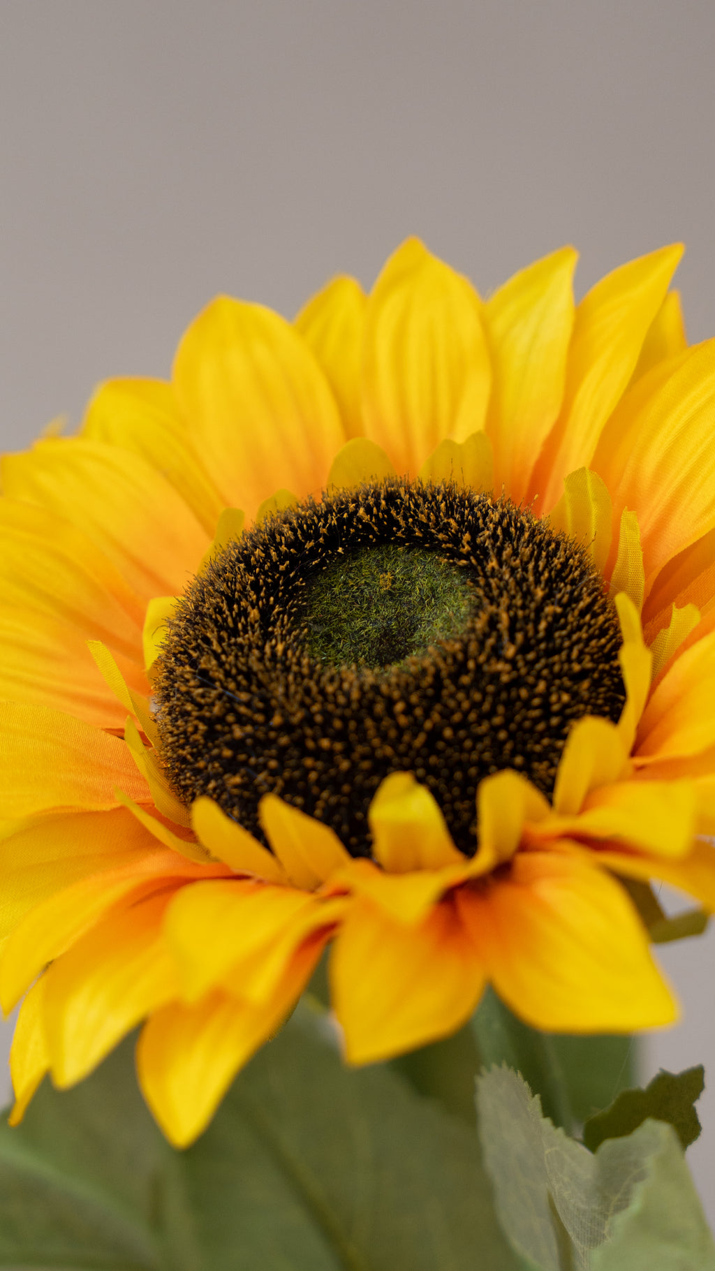 Pocketful of sunshine