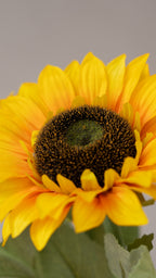 Pocketful of sunshine