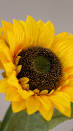 Pocketful of sunshine